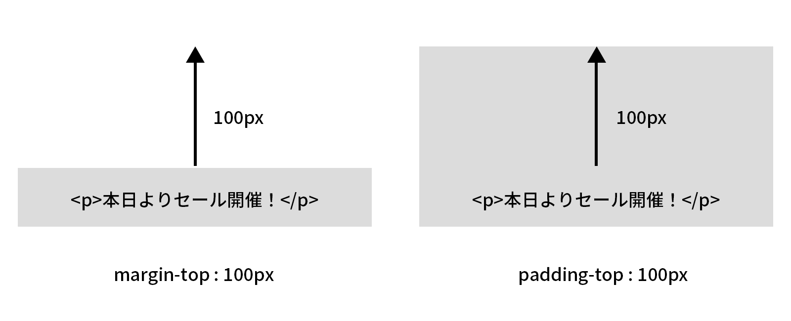 margin-topは外側の上部余白で、padding-topは内側の上部余白